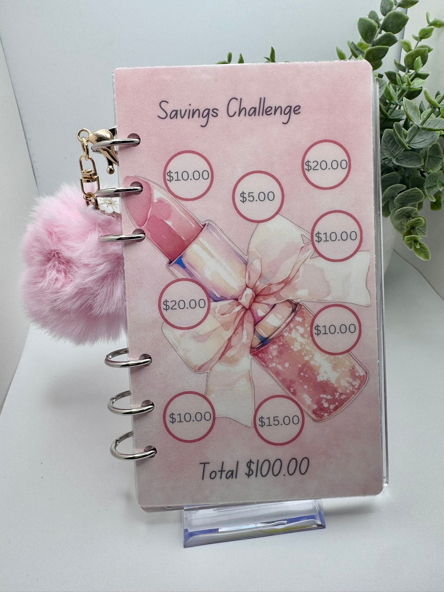 A6 Savings Challenge Binder Bundle Set Limited Addition Pretty Lady Set