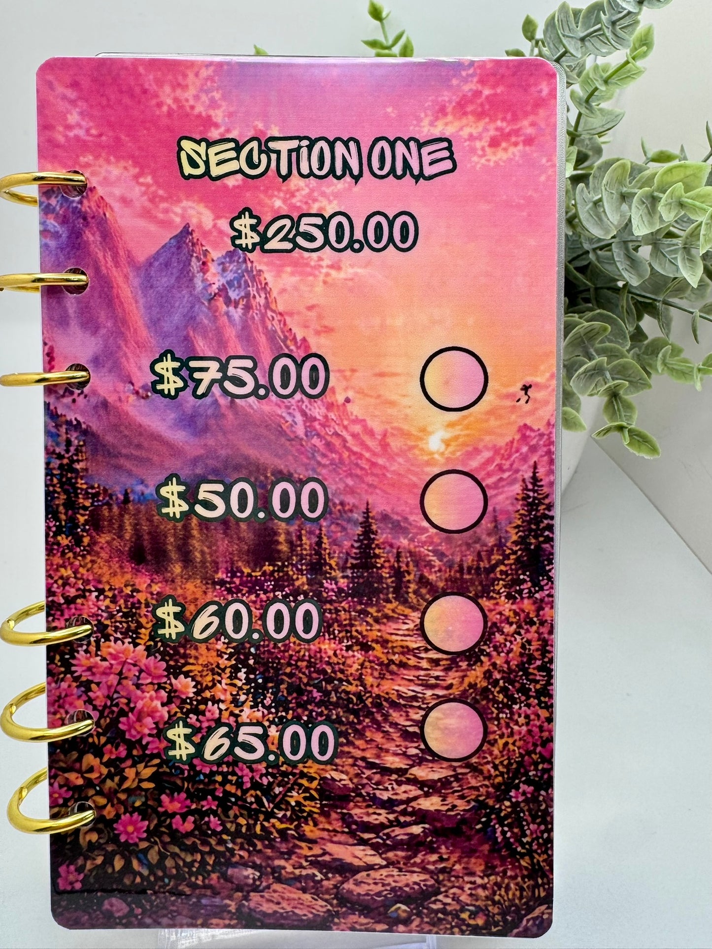 A6 1K Savings Challenge Binder Bundle | Cash Stuffing Kit | Pink Aesthetic Budget Binder Limited Ediotion