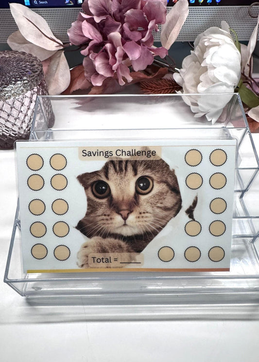 Cat Savings Challenge
