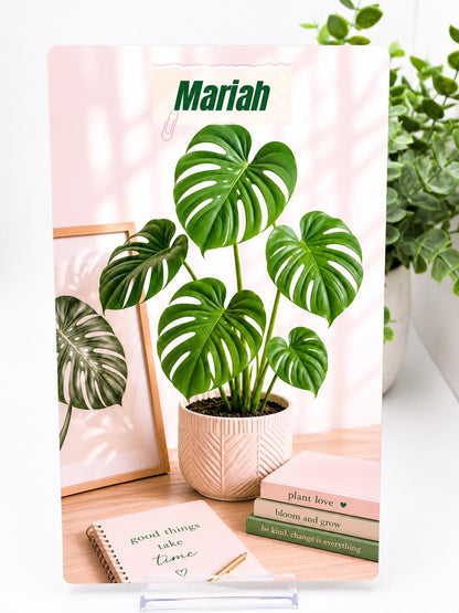 Personalized Monstera Cash Envelopes Set | Custom Name Cover (A6 Budget Binder)