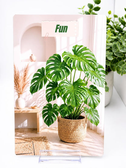 Personalized Monstera Cash Envelopes Set | Custom Name Cover (A6 Budget Binder)