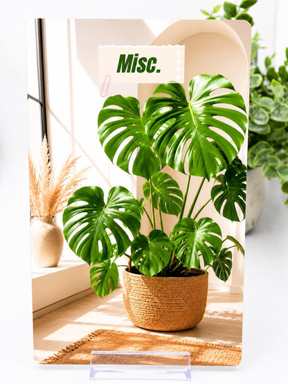 Personalized Monstera Cash Envelopes Set | Custom Name Cover (A6 Budget Binder)