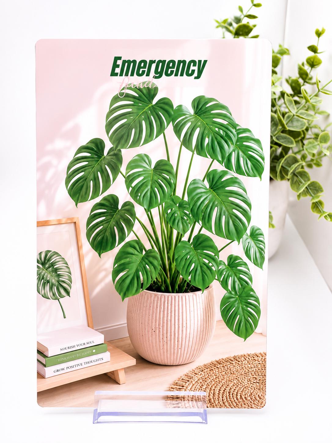 Personalized Monstera Cash Envelopes Set | Custom Name Cover (A6 Budget Binder)