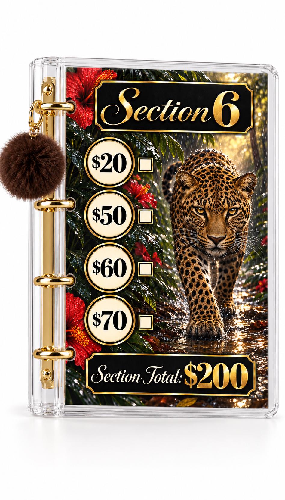 Fierce Luxe 1K Savings Challenge A6 Cash Binder Bundle