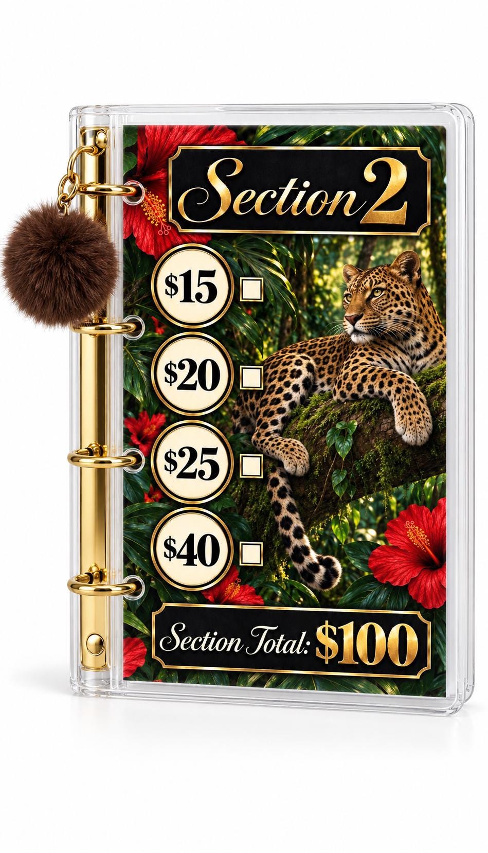 Fierce Luxe 1K Savings Challenge A6 Cash Binder Bundle