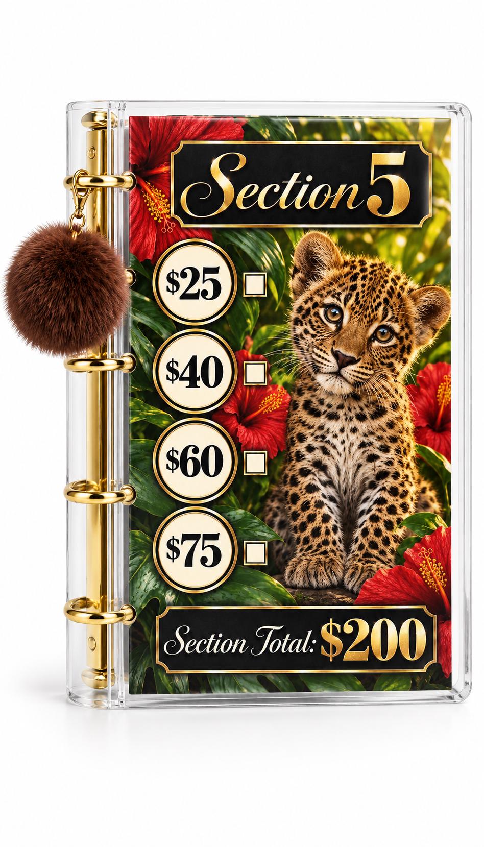 Fierce Luxe 1K Savings Challenge A6 Cash Binder Bundle